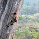 Illustration for article titled Clif Cuts Ties With Some Of Its Most Infamous Climbers